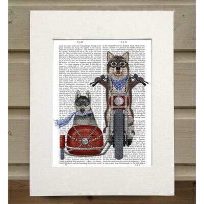 Husky Chopper and Sidecar, Book Print, Art Print, Wall Art