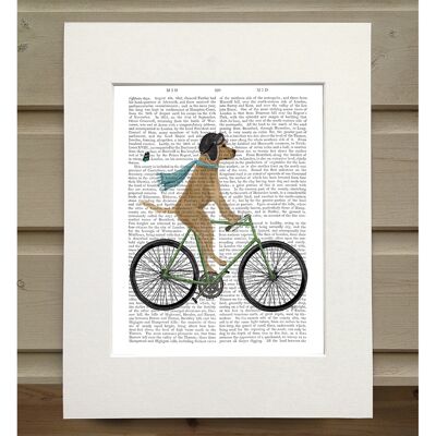 Yellow Labrador in Flying Helmet on Bicycle, Book Print, Art Print, Wall Art