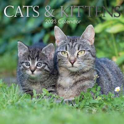 Calendar 2023 Cat and kitten