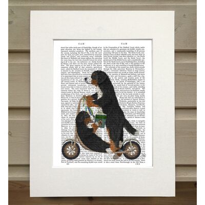 Bernese Scooter, Book Print, Art Print, Wall Art