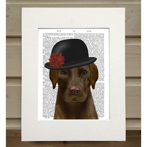 Chocolate Labrador and Bowler, Book Print, Art Print, Wall Art