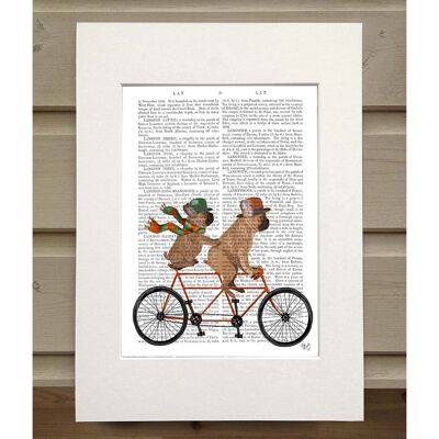 French Bulldog Tandem, Book Print, Art Print, Wall Art