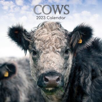 Calendrier 2023 Vache 1