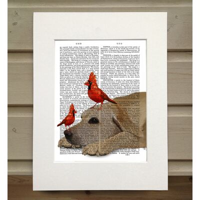 Labrador with Red Birds, Book Print, Art Print, Wall Art