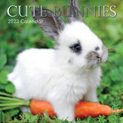 Kalender 2023 süßes Kaninchen