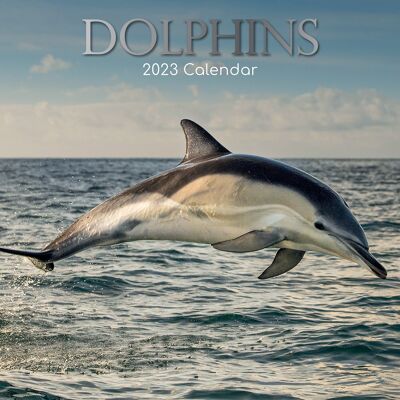 Calendar 2023 Dolphin