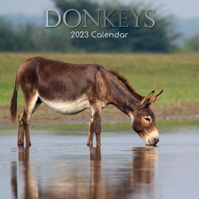 Calendar 2023 Donkey