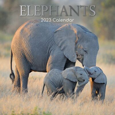 Calendar 2023 Elephant
