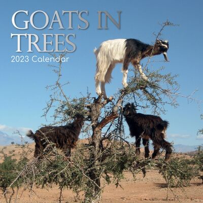 Calendario 2023 Cabra en los árboles