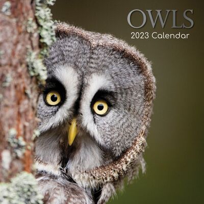 Calendar 2023 Owl