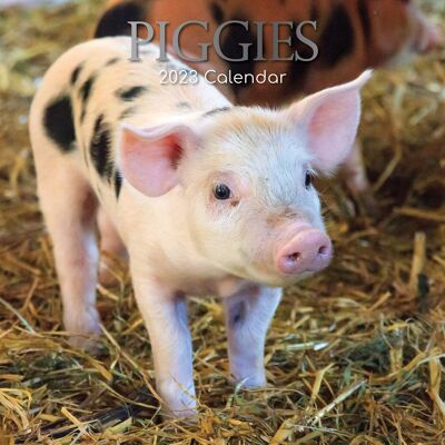 Calendar 2023 Pig Piglet