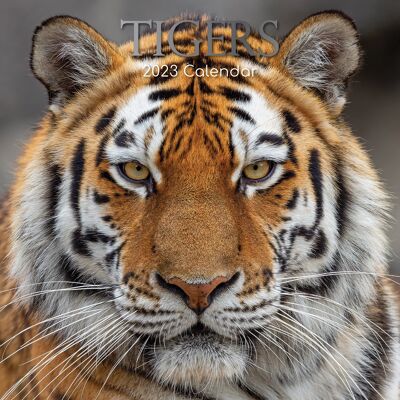 Calendar 2023 Tiger