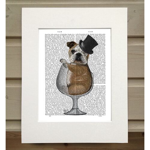 English Bulldog in Brandy Glass, Book Print, Art Print, Wall Art
