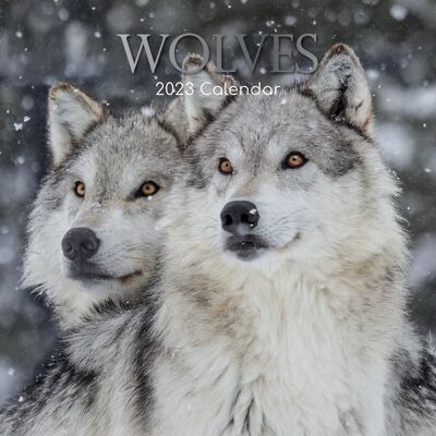 Kalender 2023 Wolf