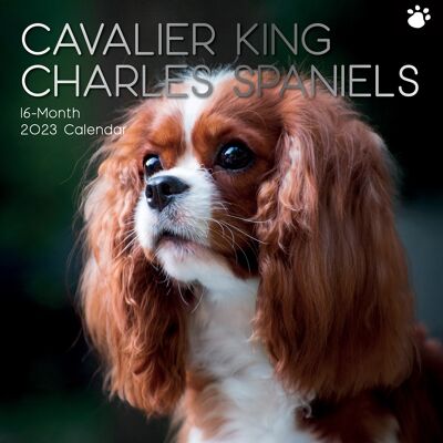 Cavalier King Charles Dog Calendar 2023