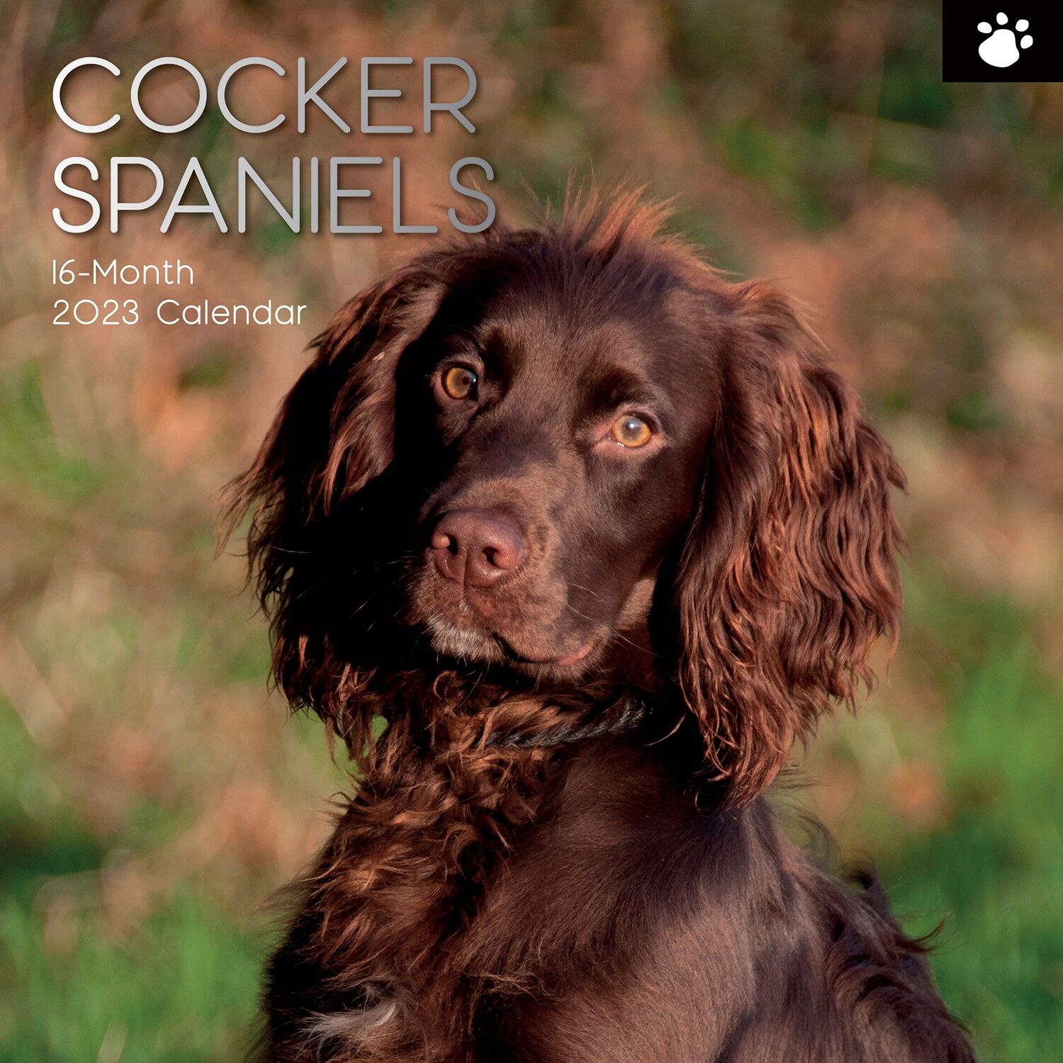 Calendario 2023 Cocker Spaniel