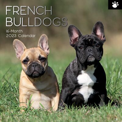 Calendario 2023 Bulldog francese