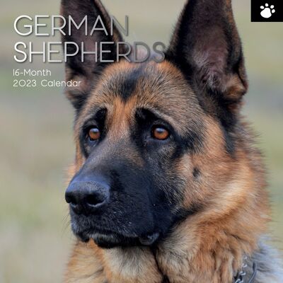 Calendar 2023 German Shepherd