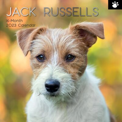 Calendario 2023 jack russell