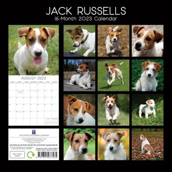 Calendrier 2023 Jack russell 2