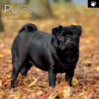 Calendar 2023 Pug