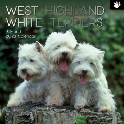 Calendario 2023 terrier blanco de las tierras altas del oeste