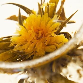 Hope Sun Marigold Blooming Thé - 50 g 3