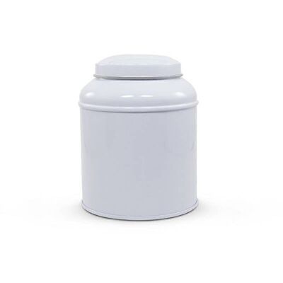 Globe white container 100g