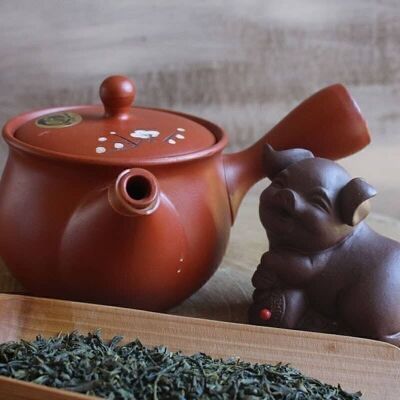 Japanisches Kyusu Tokoname Sakura in roter Keramik 300 ml