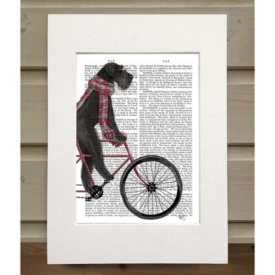 Schnauzer on Bicycle, Black, Book Print, Art Print, Wall Art