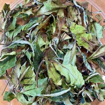 Thé blanc Bai Mu Dan Pivoine Blanche - 250 g 2