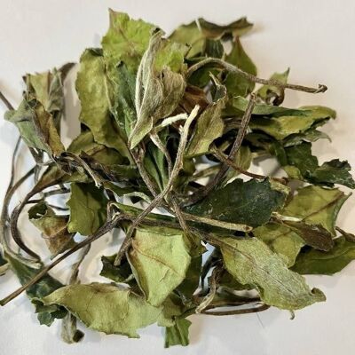 Weiße Pfingstrose Bai Mu Dan weißer Tee - 50 g