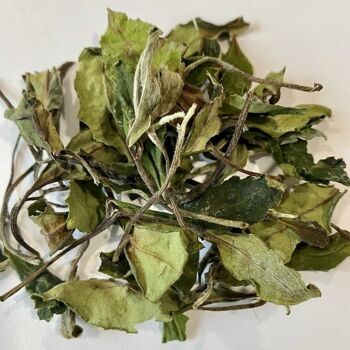 Thé blanc Bai Mu Dan Pivoine Blanche - 50 g 1