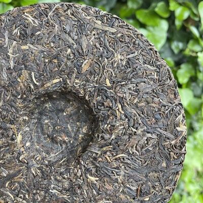 Té Sheng Puer (crudo) Pastel Bulang Treasure 2020 357g