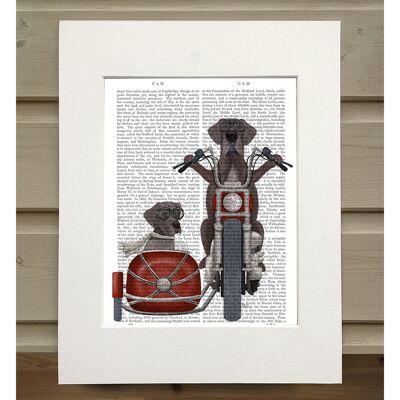 Great Dane Chopper and Sidecar, Book Print, Art Print, Wall Art