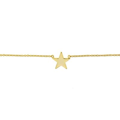 Collar Plata Dorada con Estrella (X1525GDO)