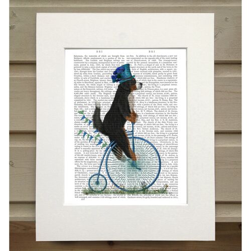 Bernese on Penny Farthing, Book Print, Art Print, Wall Art