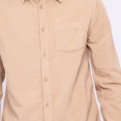 Pack - SHIRTS - COCONUT - 12PCS (44-TRESOR-COCONUT)
