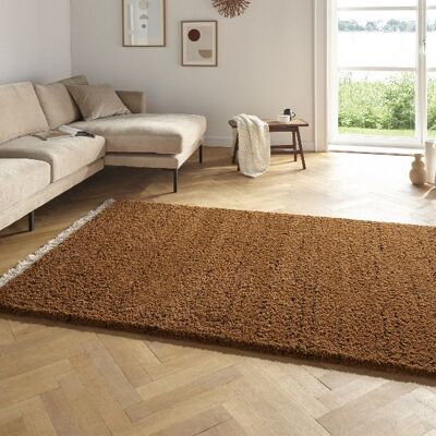 Shaggy design rug with fringes Agouhe