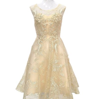 Champagne short tulle ceremony dress