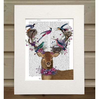 Deer Birdkeeper, Tropical Bird Nests, Book Print, Art Print, Wall Art