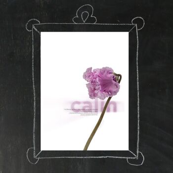 Affiche 30x40 Fleur au Mot, Calin