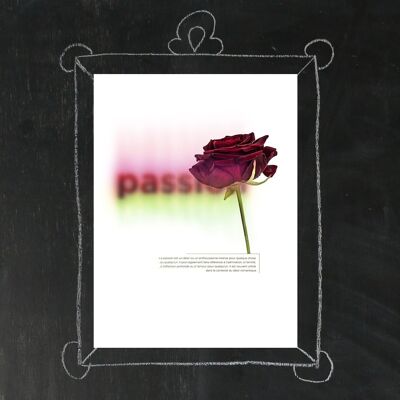 Poster 30x40 Flower to the Word, Passion