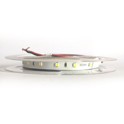 TIRA 60 LEDS/M LUZ BLANCA 8W/M 6500K 24V OSRAM