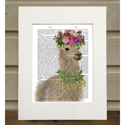 Llama Bohemian 2, Book Print, Art Print, Wall Art