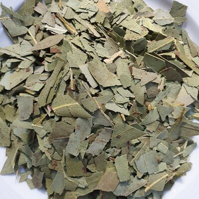 Eucalyptus* - cut leaves