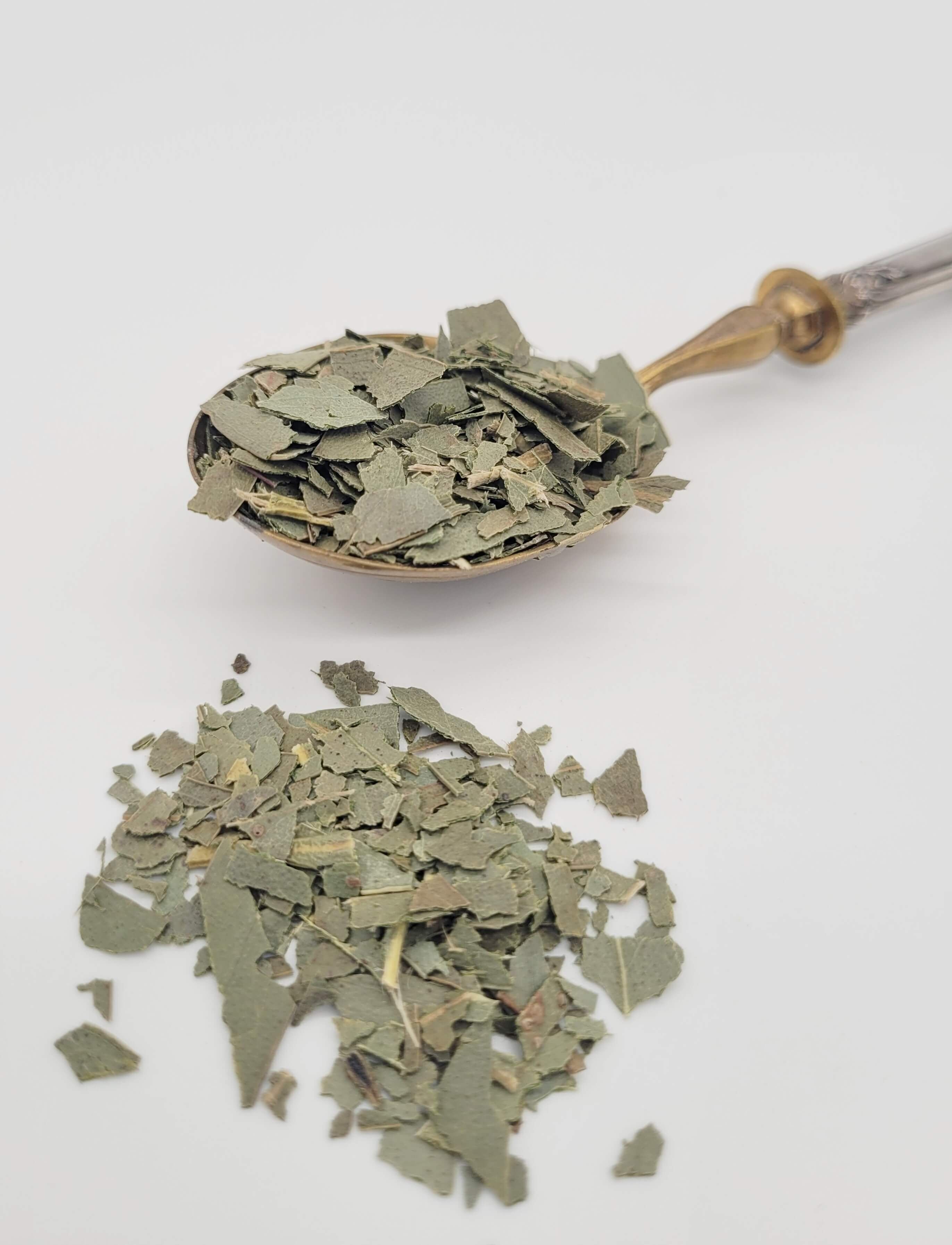 Eucalipto - BIOLOGICO - sfuso 1kg