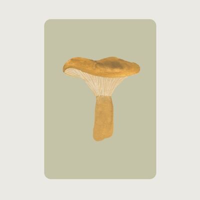 Patty | Mushroom