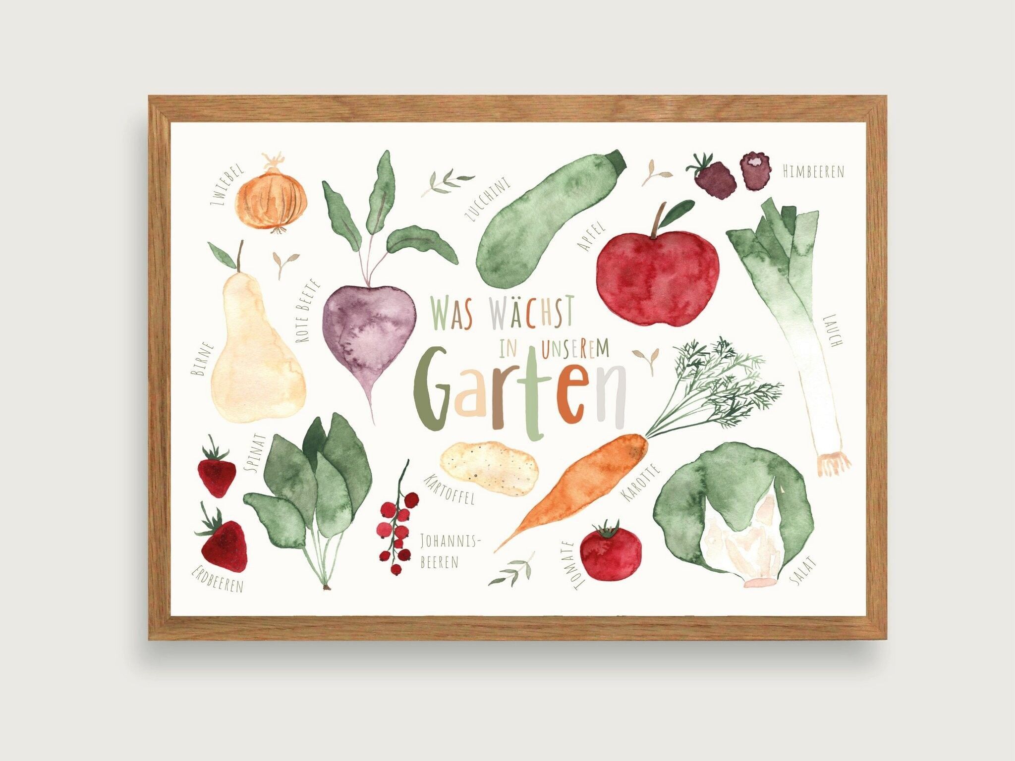 Frutti del giardino - Stampa Poster Art Print A3 - Frutta | Verdure | giardino | bambini | illustrazione