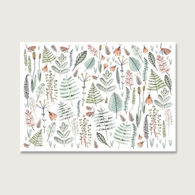 Postcard | Collage | fern | grasses | Leaves | Watercolor | watercolor | Illustration | Nature